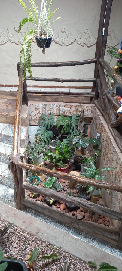 Hostel Casa Latina 렝소이스 외부 사진
